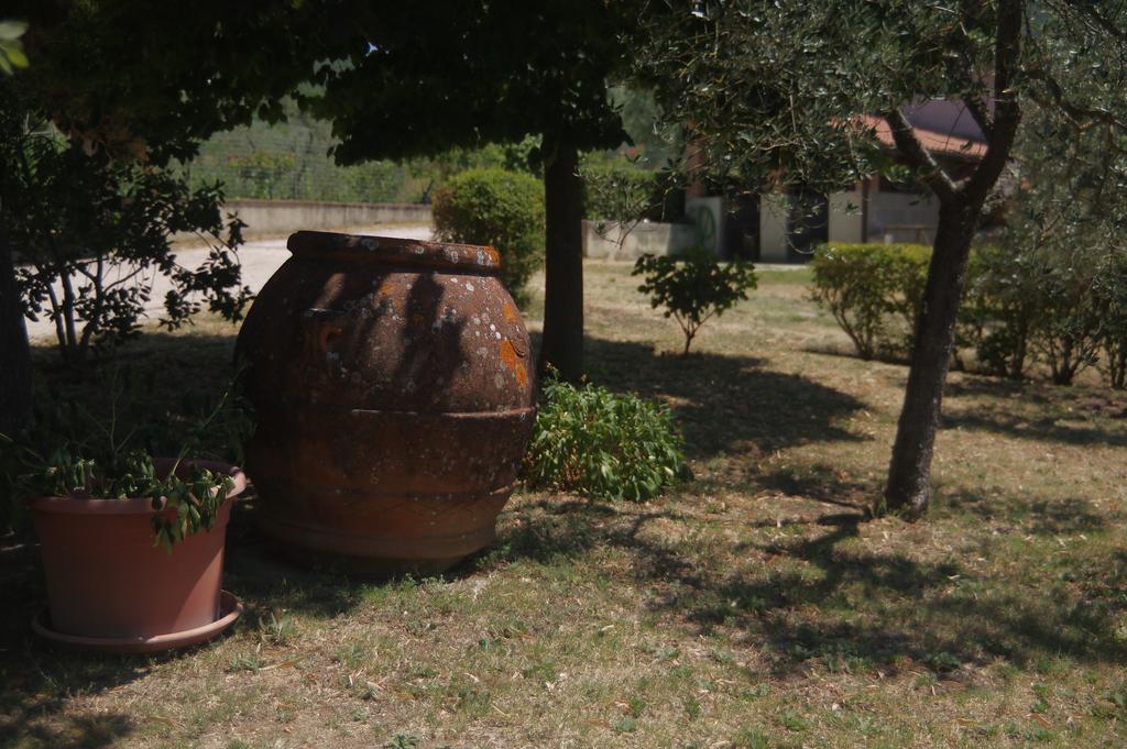 Borgo Buciardella Villa Baschi Ngoại thất bức ảnh