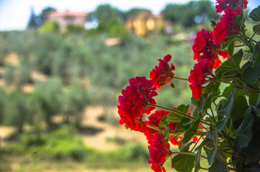 Borgo Buciardella Villa Baschi Ngoại thất bức ảnh